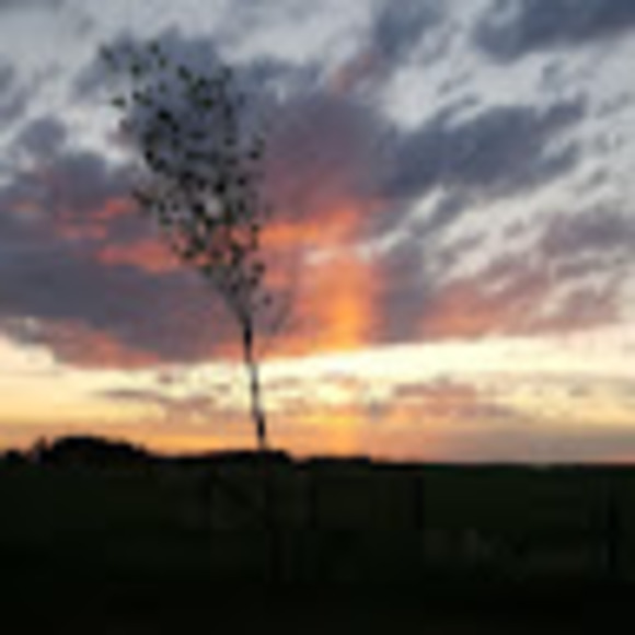 Meet your Posher, Kasandra - Picture 1 of 1